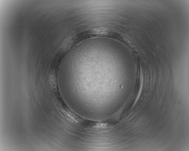 X0000067350609200604071427