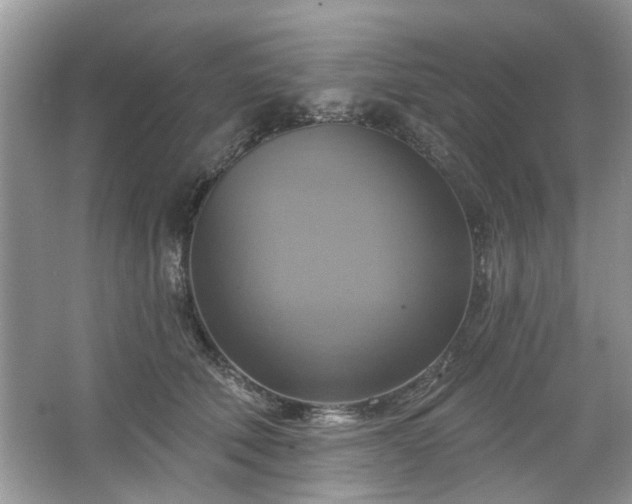 X0000067350610200604071427