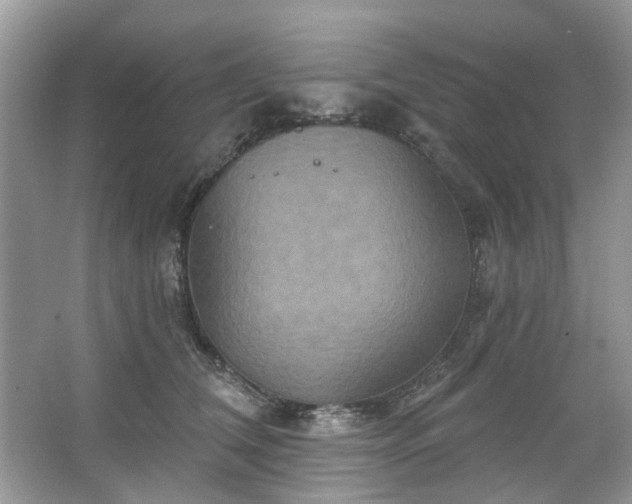 X0000067350612200604071427