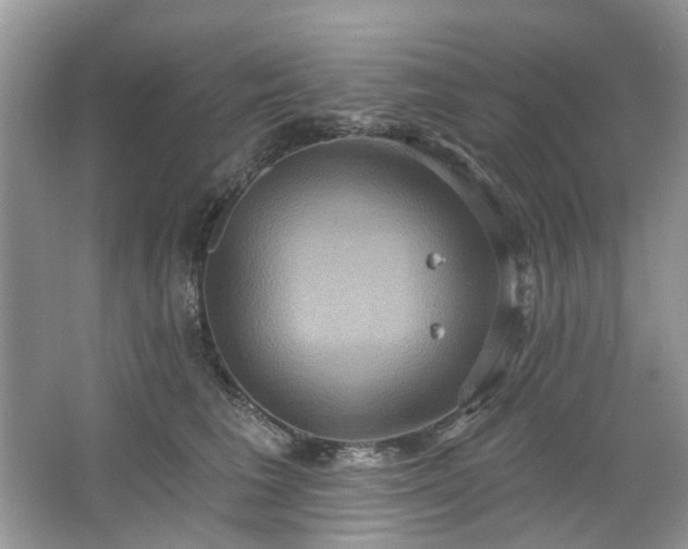 X0000067350613200604071427