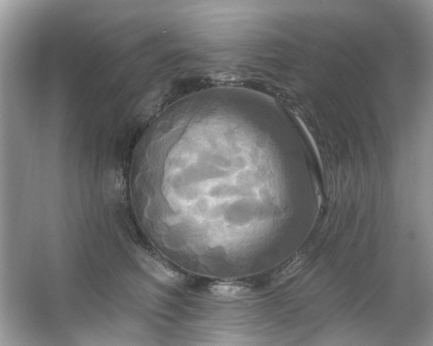 X0000067350614200604071427