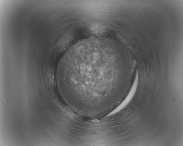 X0000067350615200604071427