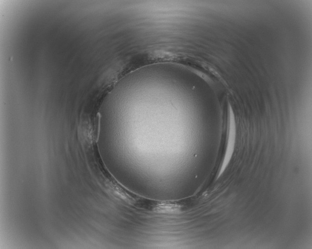 X0000067350617200604071427