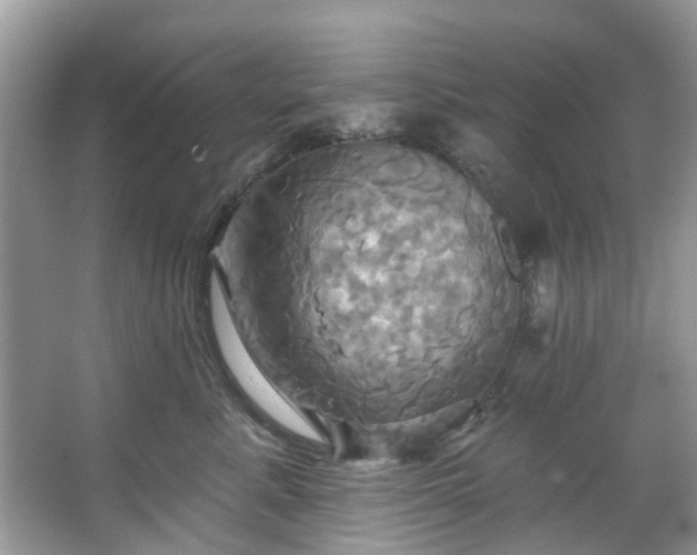 X0000067350619200604071427