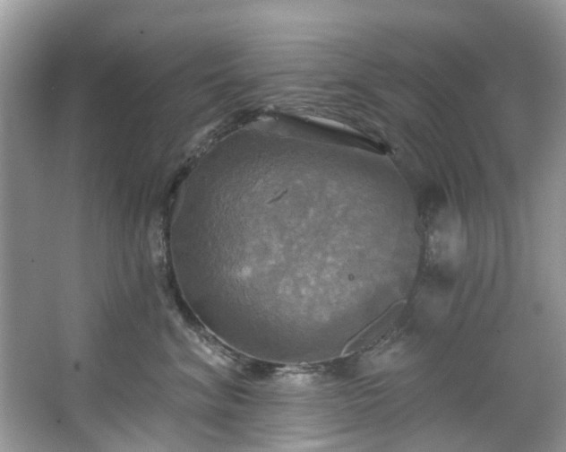 X0000067350620200604071427