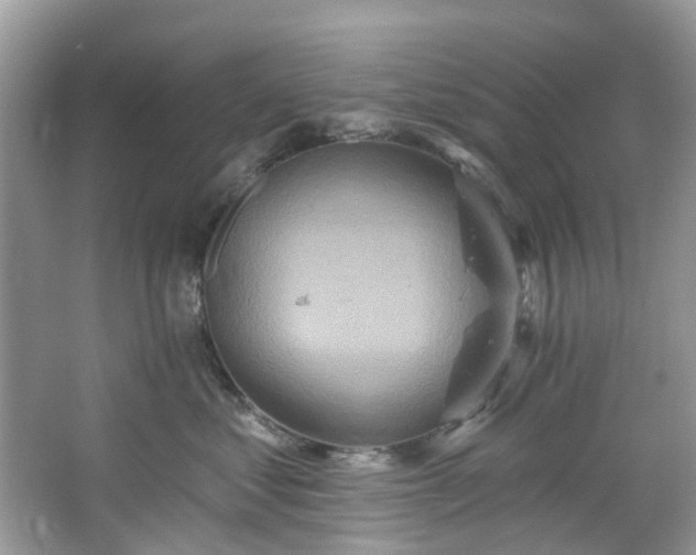 X0000067350621200604071427