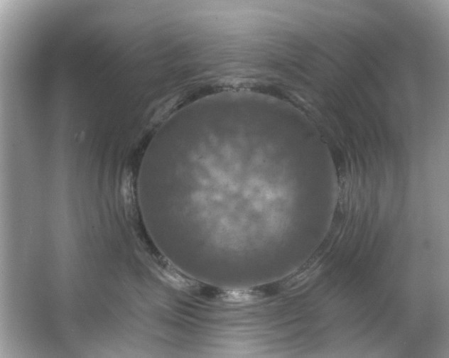 X0000067350623200604071427