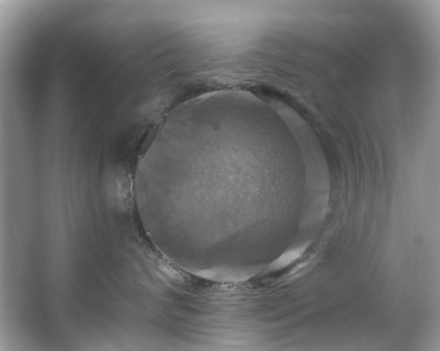 X0000067350624200604071427