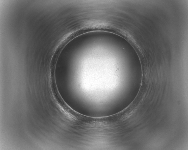 X0000067350629200604071426