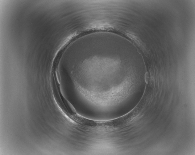 X0000067350630200604071426