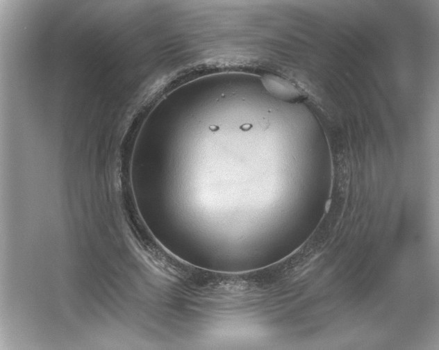 X0000067350631200604071426