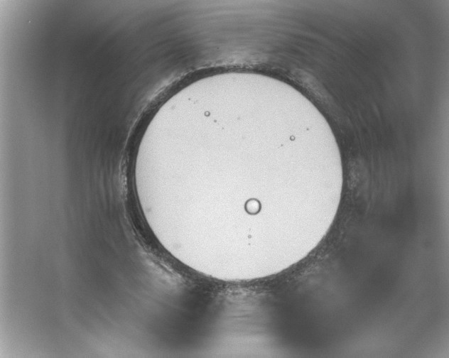 X0000067350632200604071426