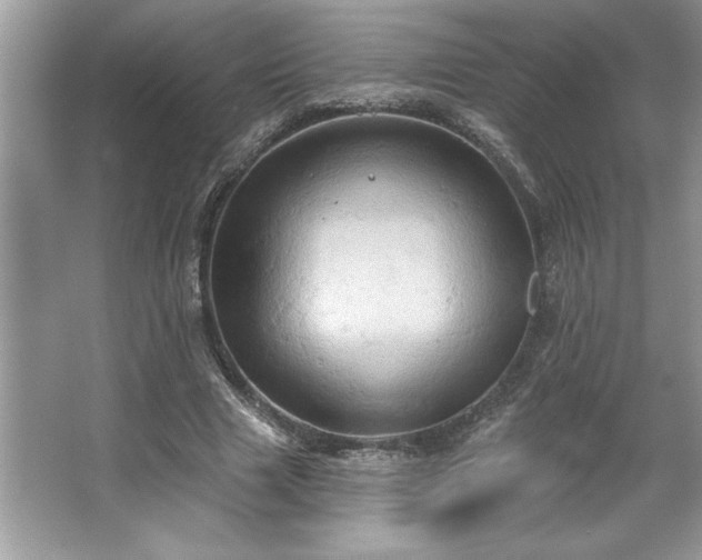 X0000067350633200604071426