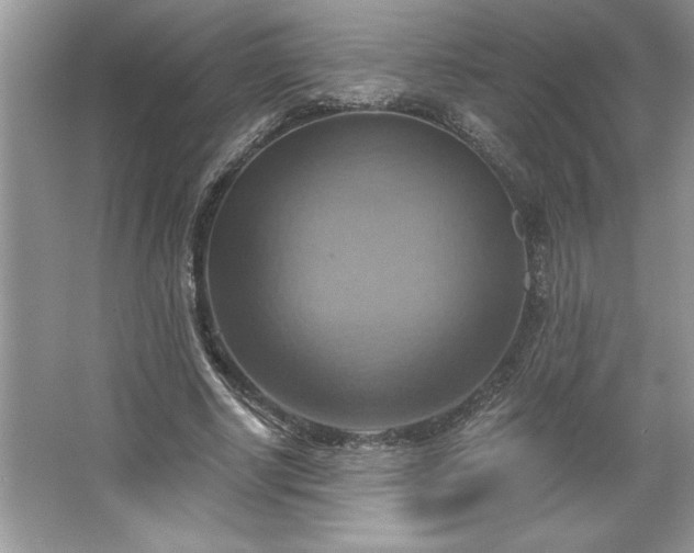 X0000067350634200604071426