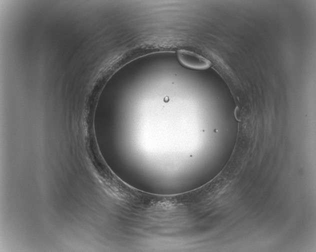 X0000067350635200604071426