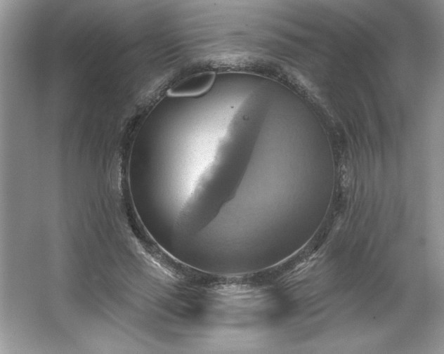 X0000067350637200604071426