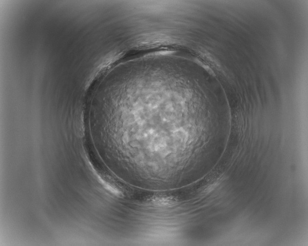 X0000067350638200604071426