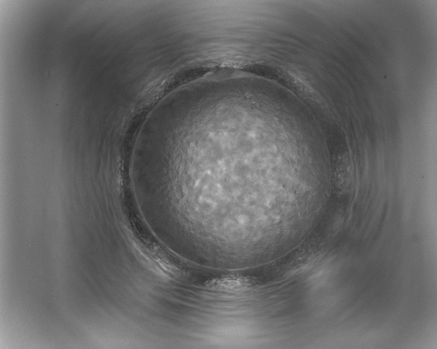 X0000067350639200604071426