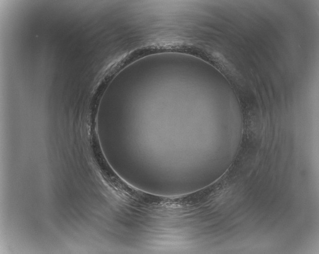 X0000067350640200604071426