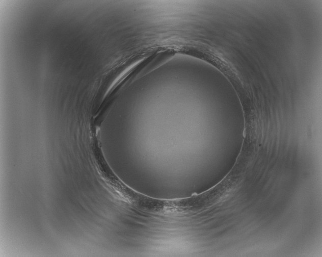 X0000067350641200604071426