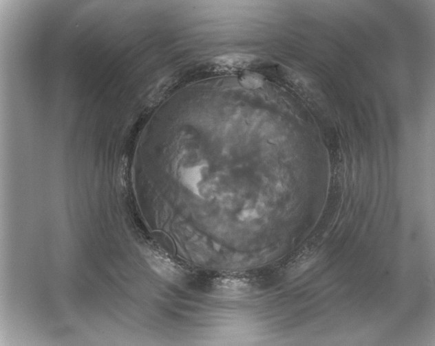 X0000067350649200604071427