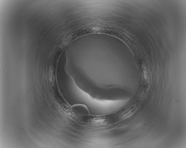 X0000067350651200604071427