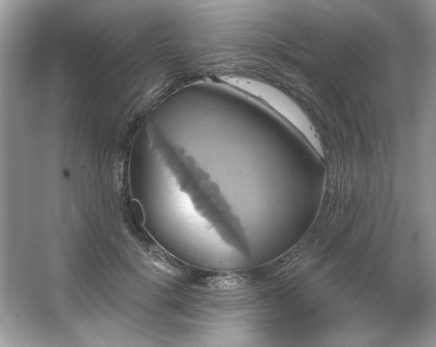 X0000067350652200604071427