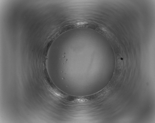 X0000067350654200604071427