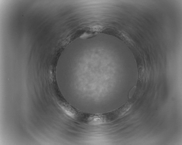 X0000067350655200604071427