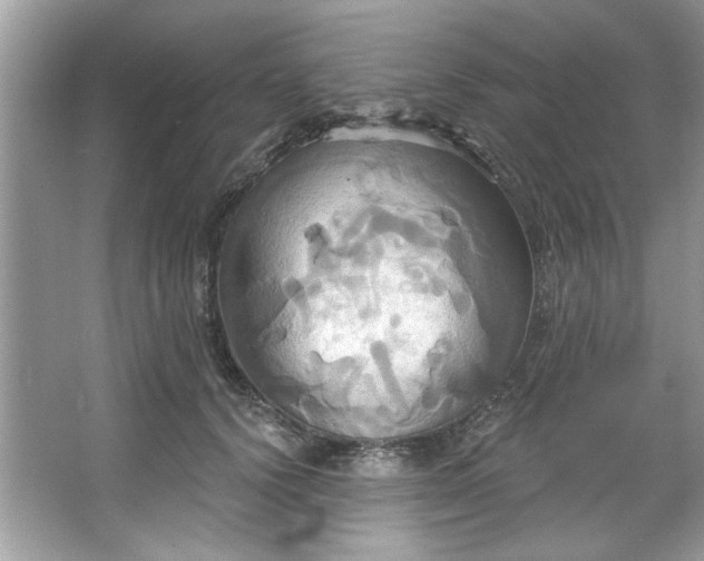 X0000067350656200604071427