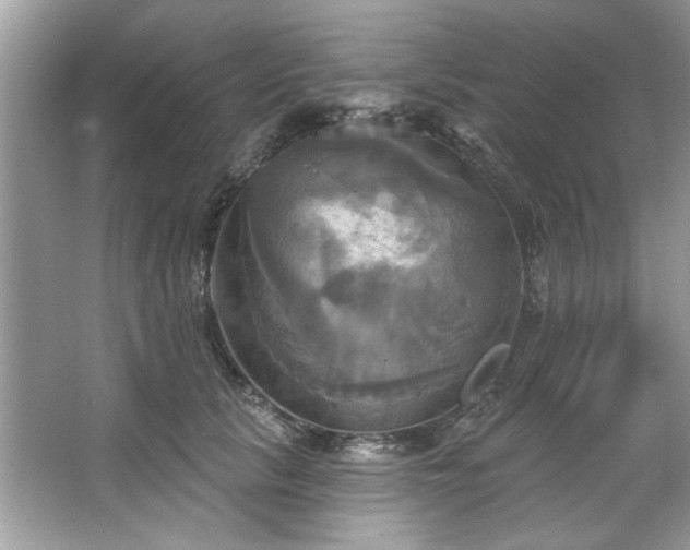 X0000067350657200604071427