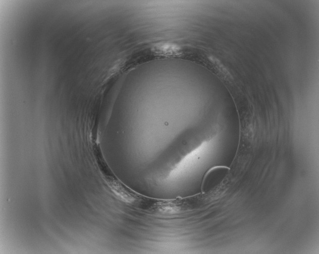 X0000067350658200604071427