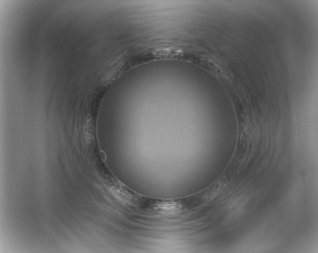 X0000067350659200604071427