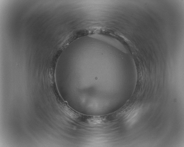 X0000067350661200604071427