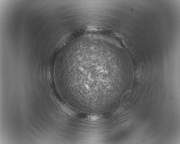 X0000067350662200604071427