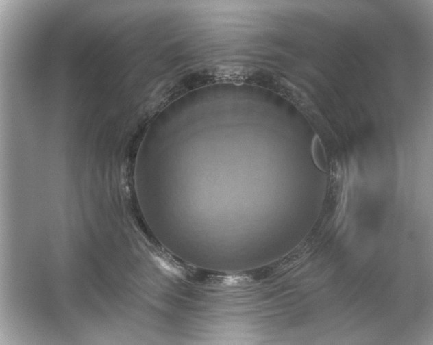 X0000067350663200604071427