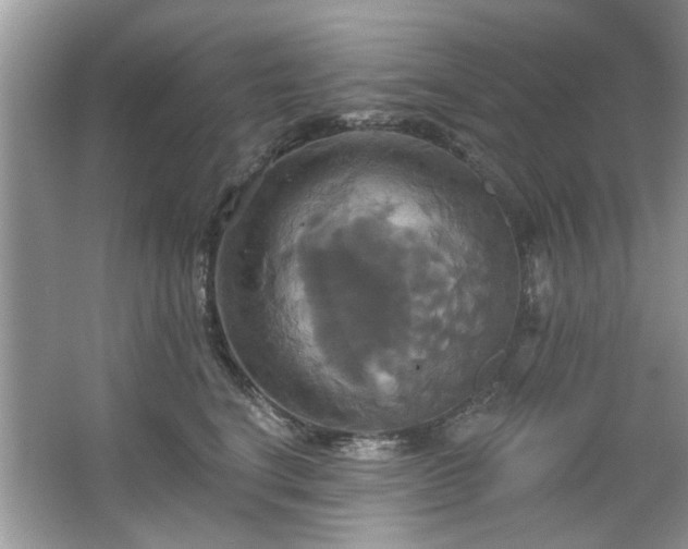 X0000067350664200604071427