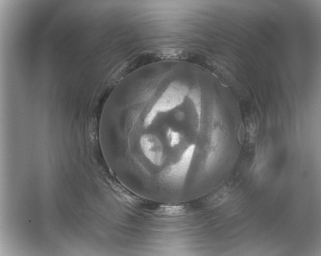 X0000067350665200604071427