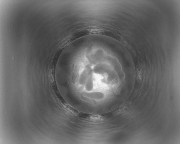 X0000067350666200604071427