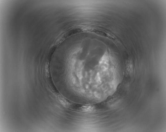 X0000067350667200604071427