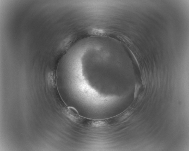 X0000067350669200604071427