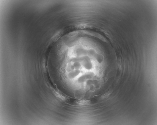 X0000067350670200604071427