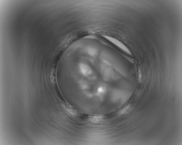 X0000067350671200604071427