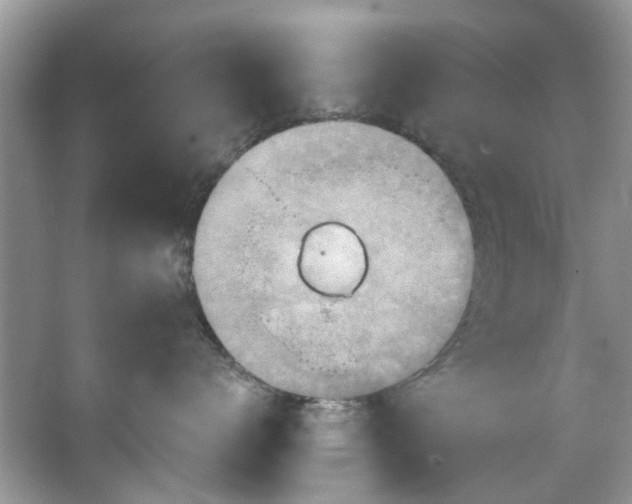 X0000067350672200604071427