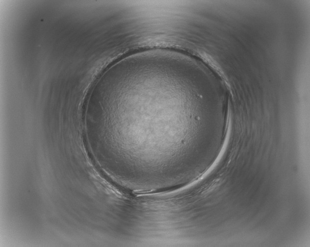 X0000067350673200604071426