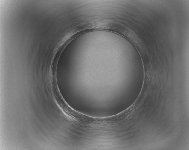 X0000067350674200604071426