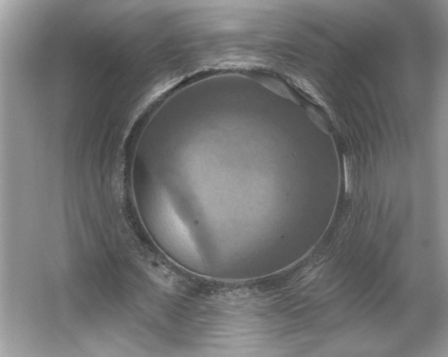 X0000067350675200604071426