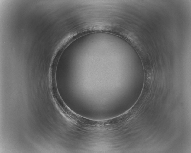 X0000067350678200604071426