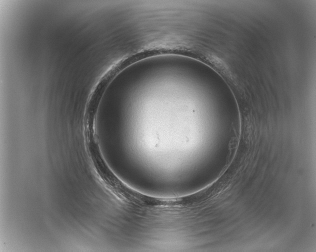 X0000067350680200604071426