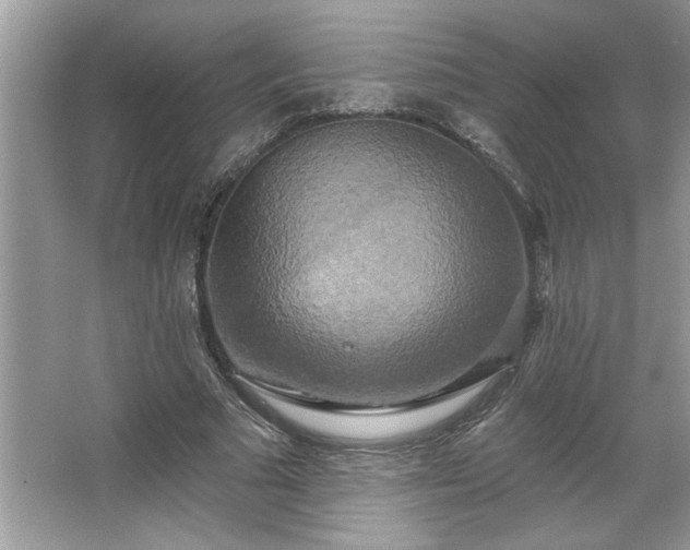 X0000067350681200604071426